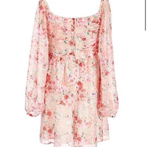 Poppies and Roses Long-Sleeve Ruched Bodice Floral Printed Knit Shift Dress - Picture 3 of 15